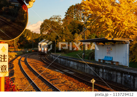 静岡県周智郡森町一宮　天竜浜名湖鉄道と沿線の風景 113729412