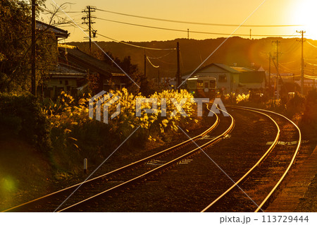 静岡県周智郡森町一宮　天竜浜名湖鉄道と沿線の風景 113729444