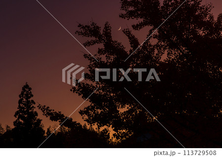 静岡県周智郡森町一宮　天竜浜名湖鉄道と沿線の風景 113729508