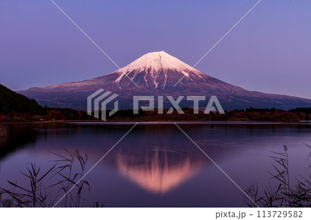 静岡県富士宮市猪之頭 田貫湖と富士山の風景 静岡県富士宮市猪之頭 田貫湖と富士山の風景 113729582