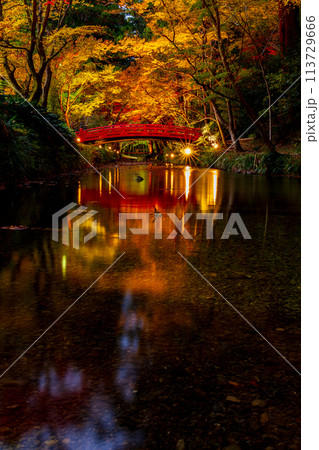 静岡県周智郡森町一宮 小國神社と境内の風景 静岡県周智郡森町一宮 小國神社と境内の風景 113729666