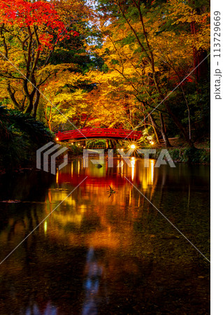 静岡県周智郡森町一宮 小國神社と境内の風景 静岡県周智郡森町一宮 小國神社と境内の風景 113729669