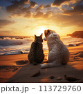 Dog and cat sitting on beach at sunset 113729760