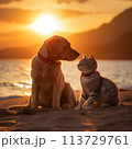 Dog and cat sitting on beach at sunset 113729761