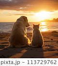 Dog and cat sitting on beach at sunset 113729762