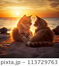 Two cats sitting on beach at sunset 113729763