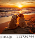 Two dog sitting on beach at sunset 113729766