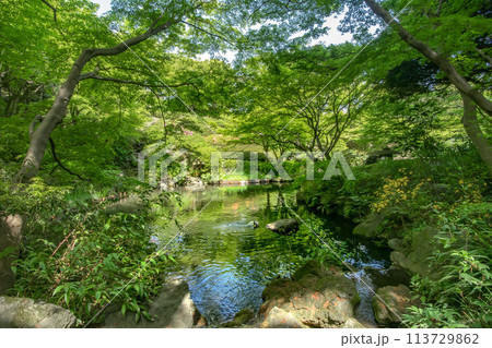 東京都品川区、池田山公園 113729862
