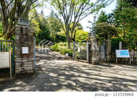東京都品川区、池田山公園 113729868