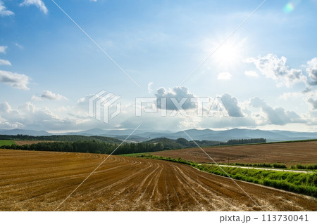 【北海道】広大な畑 113730041