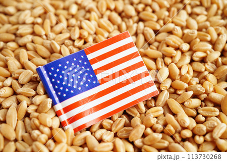USA America flag on grain wheat, trade export and economy concept. USA America flag on grain wheat, trade export and economy concept. 113730268
