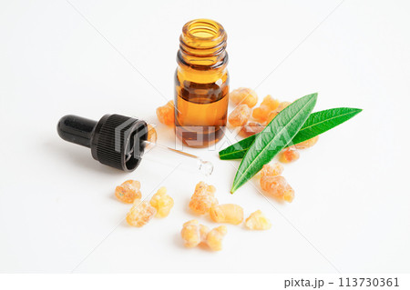 Frankincense or olibanum aromatic resin used in incense and perfumes. Frankincense or olibanum aromatic resin used in incense and perfumes. 113730361