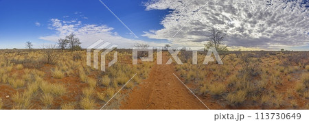 Panoramic picture over the Namibian Kalahari in the evening at sunset with blue sky and light clouds 113730649