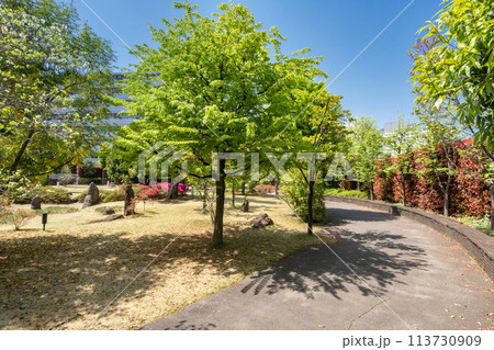 東京都品川区東五反田、ふれあいガーデン「和」 113730909