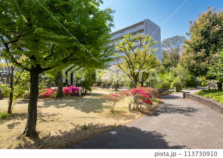 東京都品川区東五反田、ふれあいガーデン「和」 113730910