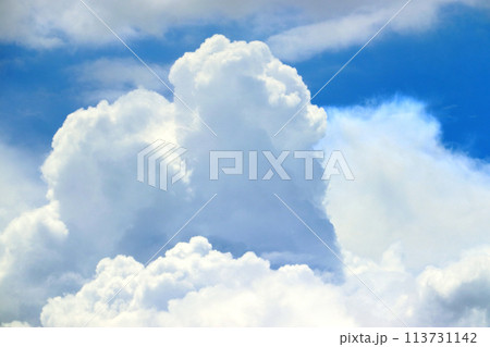 夏の青空に浮かぶハード型の雲（栃木県宇都宮市上空） 113731142