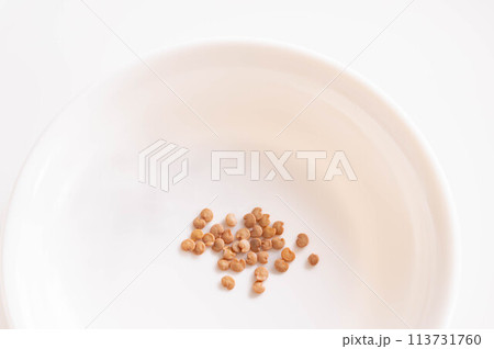 野菜のたね 茄子 野菜のたね 茄子 113731760