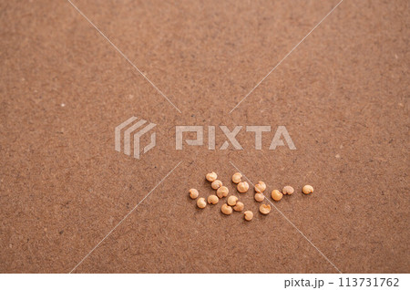 野菜のたね　茄子 113731762