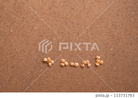 野菜のたね 茄子 野菜のたね 茄子 113731763