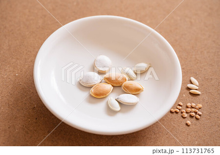 野菜の種 113731765