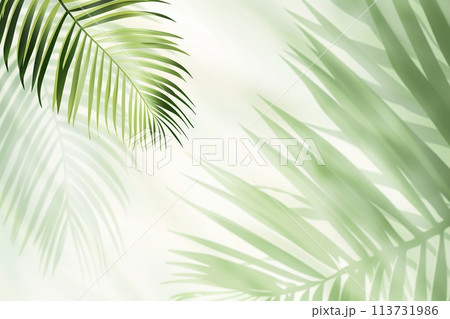 Minimal abstract background with blurry shadow of tropical palm leaves. Cosmetic product Presentation. Premium podium. Pastel light empty green wall. Showcase display case, Top view. Modern Spa mockup 113731986