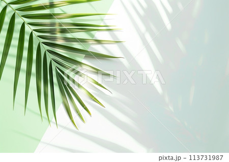 Minimal abstract background with blurry shadow of tropical palm leaves. Cosmetic product Presentation. Premium podium. Pastel light empty green wall. Showcase display case, Top view. Modern Spa mockup Minimal abstract background with blurry shadow of tropical palm leaves. Cosmetic product Presentation. Premium podium. Pastel light empty green wall. Showcase display case, Top view. Modern Spa mockup 113731987