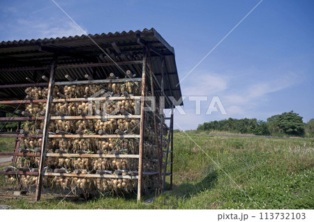玉ねぎ小屋 玉ねぎ小屋 113732103