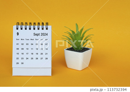 September 2024 desk calendar with potted plant on yellow background. 113732394