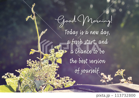 Green nature with motivational and inspirational quote Green nature with motivational and inspirational quote 113732800