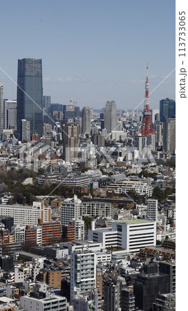 恵比寿ガーデンプイレイスタワーから見た東京タワーと麻布台ヒルズ 恵比寿ガーデンプイレイスタワーから見た東京タワーと麻布台ヒルズ 113733065