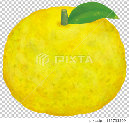 柚子の単体イラスト 113733309