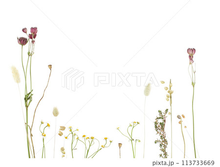 Vintage floral pattern on white background. Small pastel colorful flowers 113733669