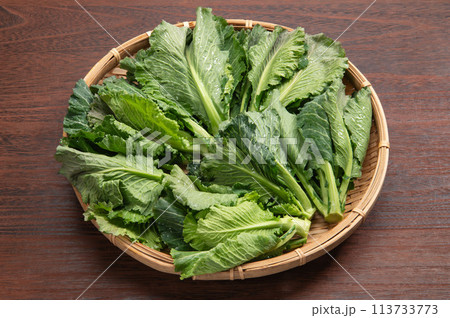 秋田県の野菜、ふくたち 秋田県の野菜、ふくたち 113733773