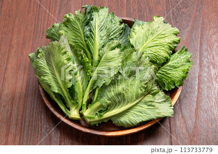 秋田県の野菜、ふくたち 秋田県の野菜、ふくたち 113733779