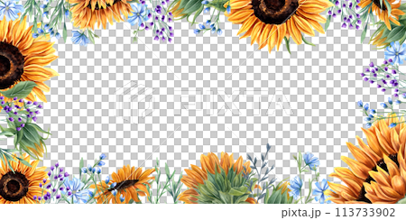 Graphic horizontal frame with sunflowers and abstract meadow plants. Blue, orange yellow flowers. Floral summer composition with copy space for text. Watercolor illustration for birthday cards 113733902