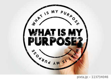 What Is My Purpose question text stamp, concept background What Is My Purpose question text stamp, concept background 113734046
