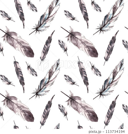 Watercolor bird feathers seamless pattern with monochrome feathers, grey black color with graphic ink line. Quills wings drawing illustration Wallpaper wrapping fabric print. Isolated white background 113734194