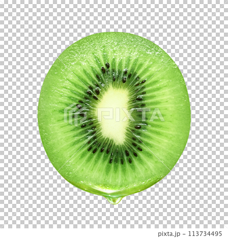 キウイのイラスト リアル 白バック 113734495