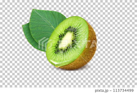 Kiwi illustration realistic white background 113734499