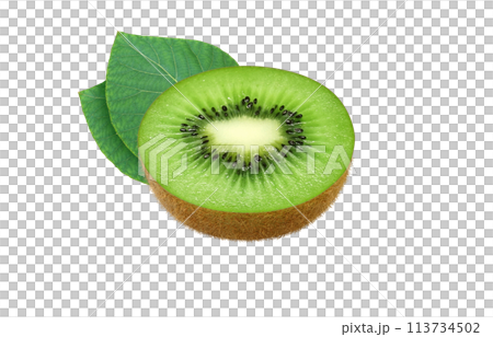 獼猴桃插圖現實白色背景 113734502