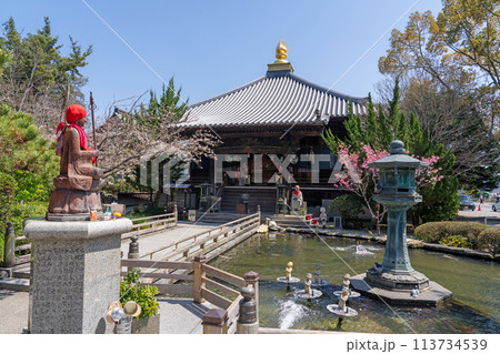 【第1番札所】春の霊山寺 大師堂【四国八十八箇所】 【第1番札所】春の霊山寺 大師堂【四国八十八箇所】 113734539