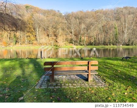 Wooden bench in front of a lake in landscape park Wooden bench in front of a lake in landscape park 113734549