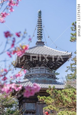 【第1番札所】春の霊山寺　多宝塔【四国八十八箇所】 113734784