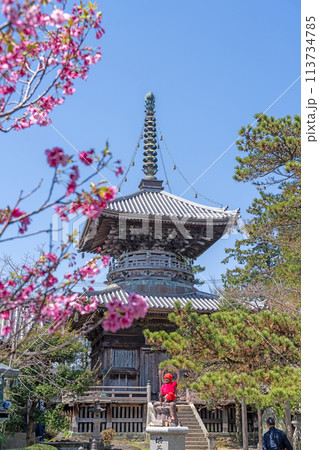 【第1番札所】春の霊山寺　多宝塔【四国八十八箇所】 113734785