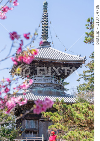 【第1番札所】春の霊山寺　多宝塔【四国八十八箇所】 113734786