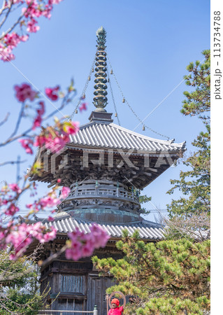 【第1番札所】春の霊山寺 多宝塔【四国八十八箇所】 【第1番札所】春の霊山寺 多宝塔【四国八十八箇所】 113734788