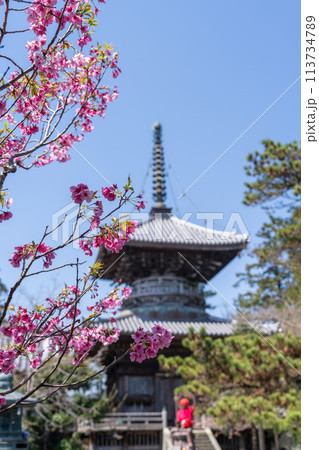 【第1番札所】春の霊山寺 多宝塔【四国八十八箇所】 【第1番札所】春の霊山寺 多宝塔【四国八十八箇所】 113734789