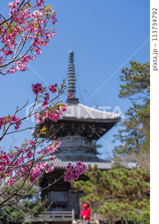 【第1番札所】春の霊山寺　多宝塔【四国八十八箇所】 113734792