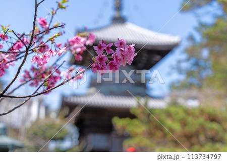 【第1番札所】春の霊山寺 多宝塔【四国八十八箇所】 【第1番札所】春の霊山寺 多宝塔【四国八十八箇所】 113734797