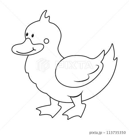 Farm animal_08 Farm animal_08 113735350